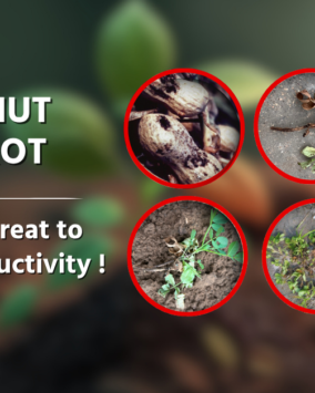 Huntinorganics