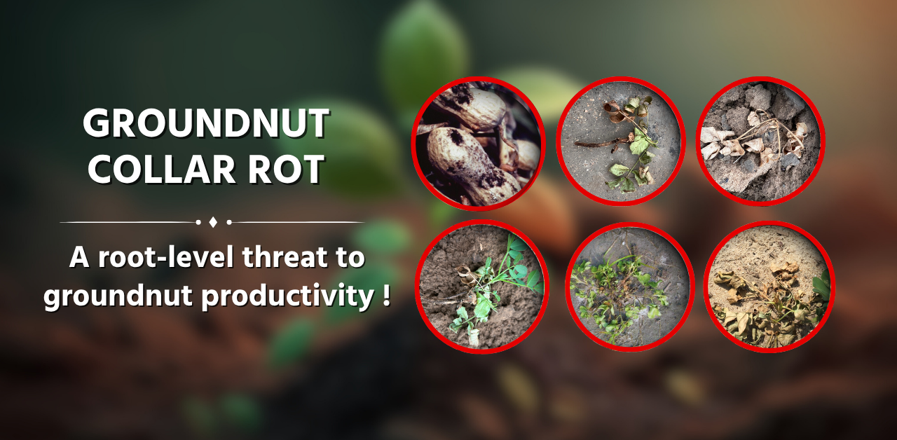 Huntinorganics